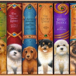 Пазл: На книжной полке