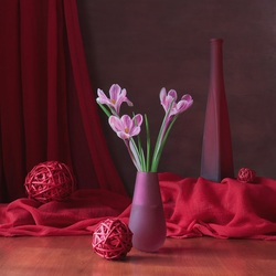 Пазл: Крокусы