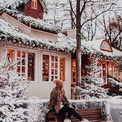 Пазл: Хорошо зимой на даче