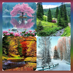 Пазл: Времена года