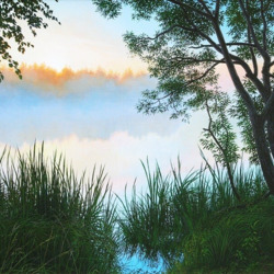 Пазл: Туман над озером