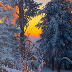 Пазл: Старый лес