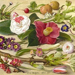 Пазл: Апрель