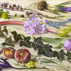 Пазл: Февраль