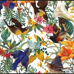 Пазл: Сказочные птицы