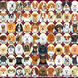 Пазл: Собаки