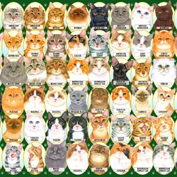 Пазл: Кошки