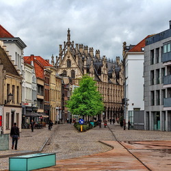 Пазл: La città di Mechelen