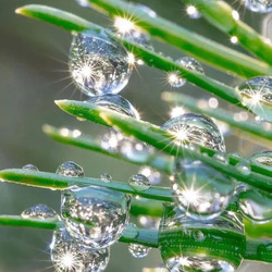 Пазл: Капельки