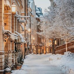 Пазл: Via dell'Inverno