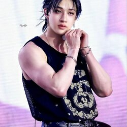 Пазл: Бан Чан 