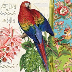 Пазл: Розовые орхидеи