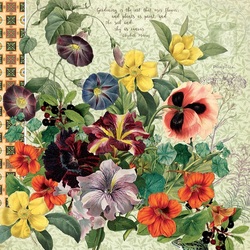 Пазл: Цветы моей бабушки
