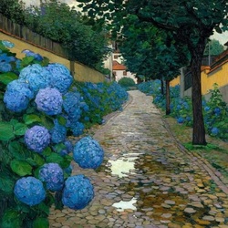 Пазл: Цветут гортензии