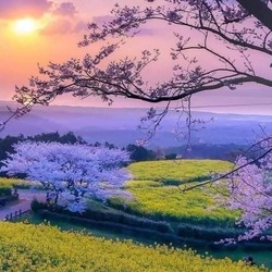 Пазл: Сиреневая даль