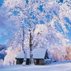 Пазл: Зимушка