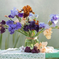 Пазл: Ирисы