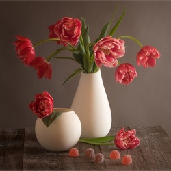 Пазл: Тюльпаны 