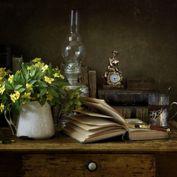 Пазл: Любительница старых романов 