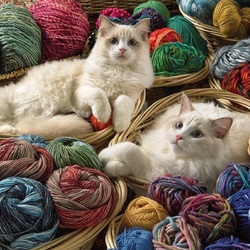 Пазл: Ничего не делаем, просто лежим