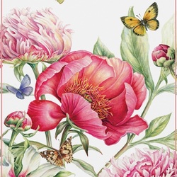 Пазл: Дикие пиона