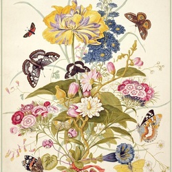 Пазл: Бабочки