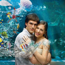 Пазл: Аквариум