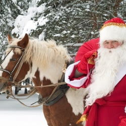 Пазл: Дед Мороз