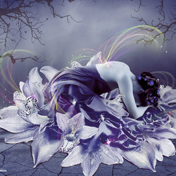 Пазл: Орхидея