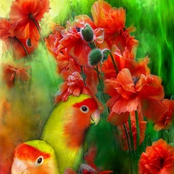 Пазл: Любовь среди маков