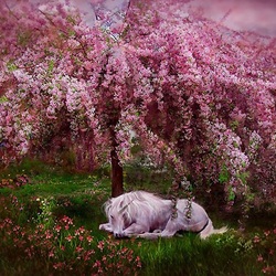 Пазл: В мир, закутанный любовью