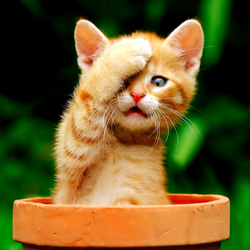 Пазл: Что же там,за горизонтом?