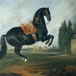 Пазл: Черная лошадь, выполняющая курбет