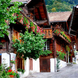 Пазл: Villaggio svizzero