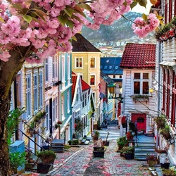 Пазл: Primavera in Norvegia