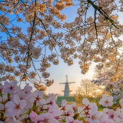 Пазл: Весеннее настроение