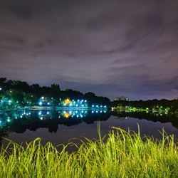 Пазл: Пруд в Люблино