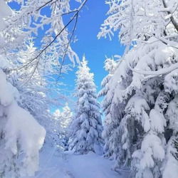 Пазл: Зимушка