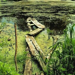 Пазл: Опасная дорожка