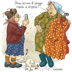 Пазл: Модный приговор 