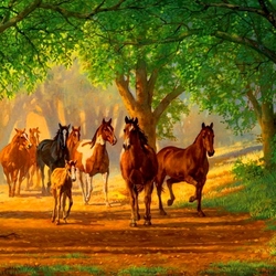 Пазл: Лошади