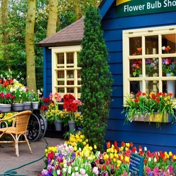 Пазл: Луковичные