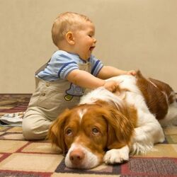 Пазл: Массаж другу