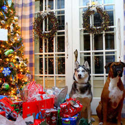 Пазл: Санта?