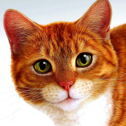 Пазл: Рыжий