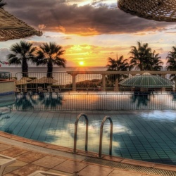 Пазл: У бассейна