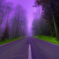 Пазл: Сиреневый туман