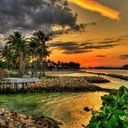 Пазл: Флорида