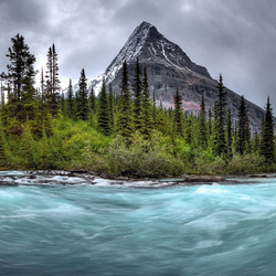 Пазл: Бурлящая река