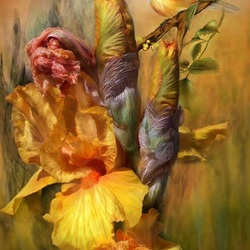 Пазл: Лето чудес